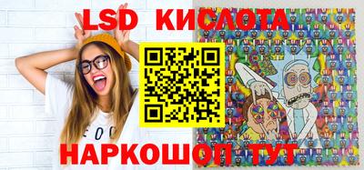 бошки Кингисепп