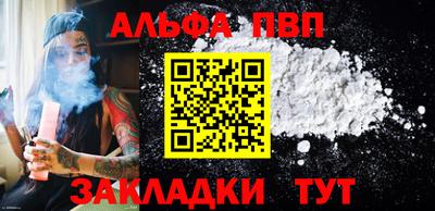 бошки Кингисепп
