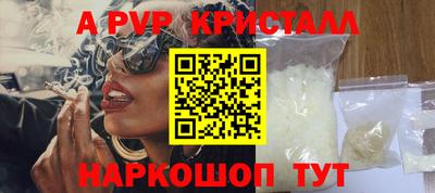 бошки Кингисепп