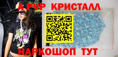бошки Кингисепп