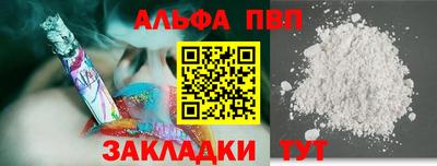 бошки Кингисепп