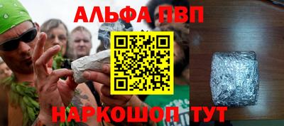 бошки Кингисепп